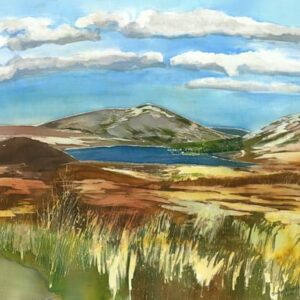 Summer's day at Lochindorb